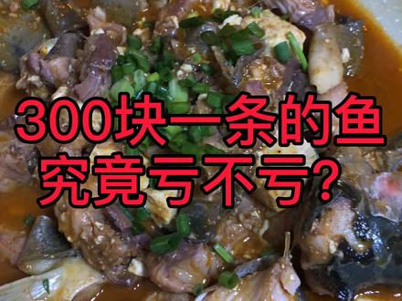 300块一条的雅鱼究竟亏不亏? #浪计划 #浪吃一夏