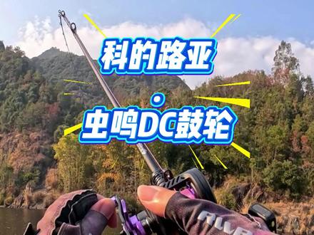 科的虫鸣DC鼓轮全新优化升级来袭,把之前可能存在的隐患通通解 决,并且升级加量不加价。这颗鼓轮的稳定性超乎你想象。#虫鸣DC鼓轮 #科的虫鸣DC鼓轮 #鼓轮推荐