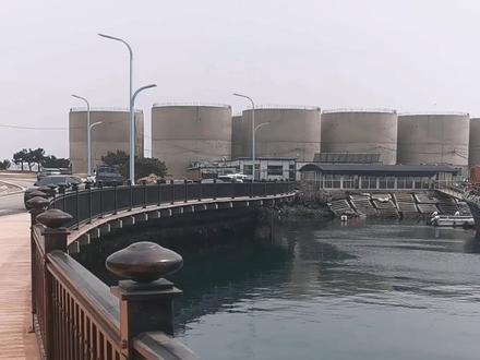 去小平岛钓鱼!钓的大海螺和海参!#带你去看海 #有海的城市确实浪漫一点 #海边随拍 #原创视频 #五一假期最后一天
