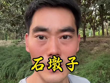 放过这些石墩子吧#石墩子 #安全 #老百姓关心的话题