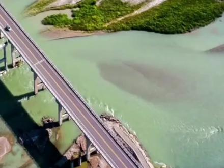 鹦鹉黄桃会与人互动,也很亲人,鹦鹉黄桃的智商多高