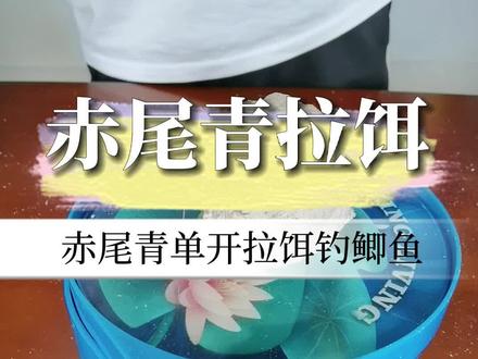 第7集|钓友的秘密配方,赤尾青单开钓鲫鱼开饵方法,对生口鲫鱼有特效#钓鱼技巧