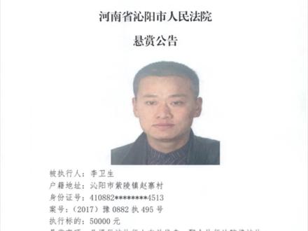 沁阳市人民法院执行悬赏公告(2024年第31期)