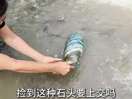 一口气捡到30种石头,哪块石头好呢?#石头 #捡石头 #奇石