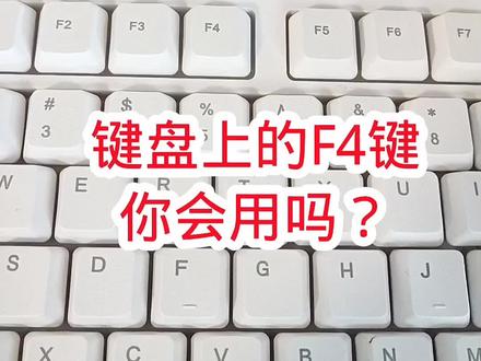 键盘上的F4键是很重要的一个键 #0基础学电脑 #办公技巧 #办公软件