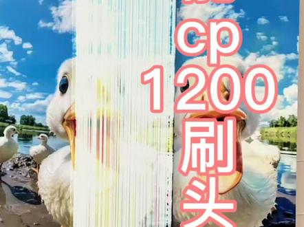 佳能CP1200照片打印机烧坏打印头维修