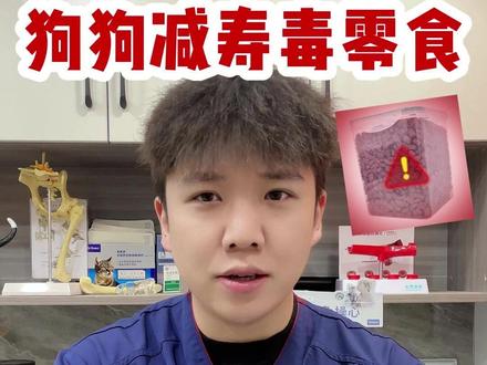 千万不要给狗喂这5种毒零食! #新手养狗 #养狗经验分享 #养狗人 #狗狗的日常 #我和我的小狗