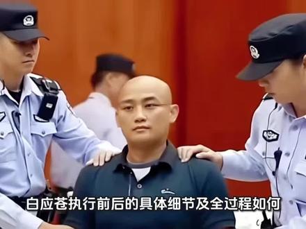 白应苍执行前后的具体细节及全过程如何?
