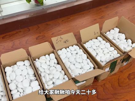 二十多捡漏上市129元的荣耀Earbuds X3i蓝牙耳机 音质也是动次打次!#荣耀耳机 #入耳式耳机