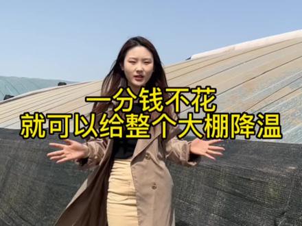 泼泥浆能给大棚降温你知道吗#温室大棚 #农业种植 #蔬菜种植 #专业建棚 #种植棚