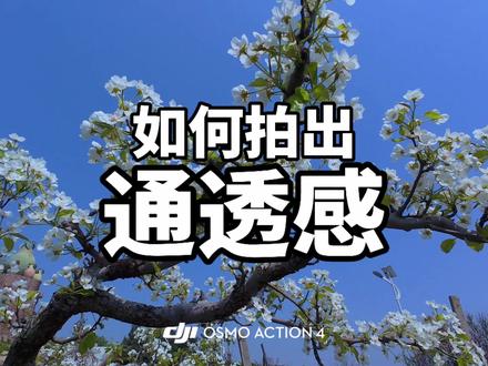 大疆action4万能参数以及调色实操 #action4 #通透感 #调色教程
