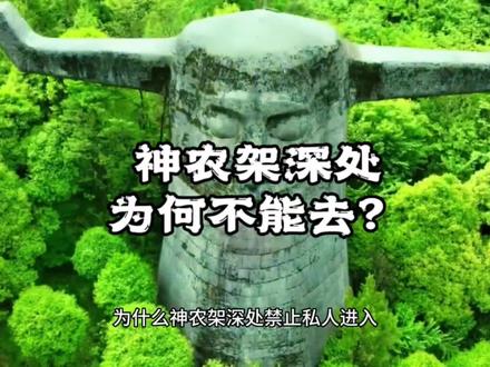 为何神农架的深处一直没有开放?禁止进入!#旅行推荐官 #文化旅游 #奇闻奇事 #神农架 #未解之谜