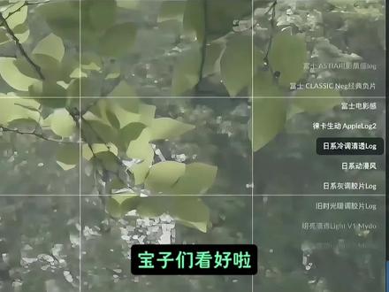 《叶子调色》影视飓风同款blackmagic相机lut滤镜包 blackmagic cam安卓版安装教程,lut调色套装安卓手机通用#blackmagiccam #blackmagiccamera安卓版 #lut调色 #lut滤镜 #手机摄影