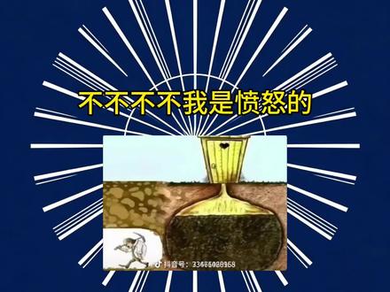 不不不不不我是愤怒的是什么梗?这么大个板栗不吃可惜了
#猎奇 #抽象 #科普 #美食
