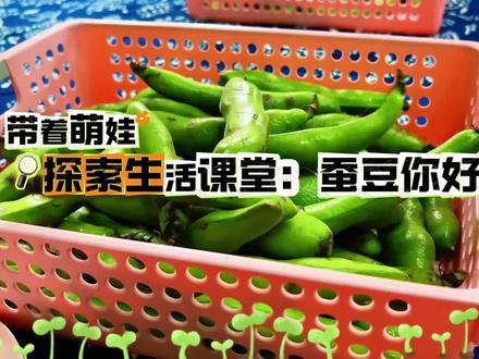 带着萌娃
探索生活课堂|蚕豆你好呀!
#幼儿园食育课程#自己动手吧#蚕豆宝宝好神奇#幼儿园小班的小宝贝们真棒