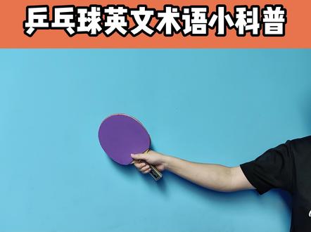 乒乓球这些基本术语用英语怎么说?你知道几个呢?