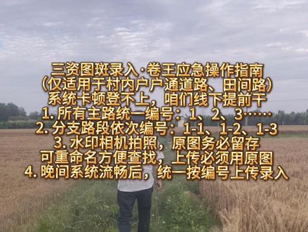 目前我觉得最快的录入方法#三资图斑