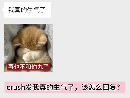 crush发我真的生气了,该怎么回复?#crush #crush聊天记录 #恋爱技巧 #高情商聊天 #高情商说话技巧