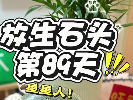 第89天|谁的星星人掉了!小笨蛋们,你们要的志愿者都在排队画了,别催了别催了,笔杆子都画冒烟了!#画画 #绘画#治愈#涂鸦#手工绘画石头