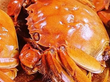 人工注胶螃蟹 真相大揭秘 #辟谣 #螃蟹打针 #寄生虫