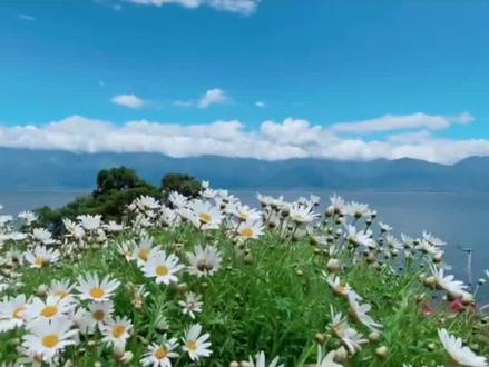 听完感觉瞬间年轻几岁了,轻松又活泼,节奏感很好#世界巨大我以渺小爱他#音乐推荐
