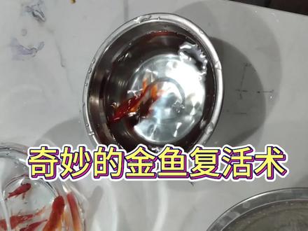 🌟【液氮冻金鱼复活术】实验大揭秘!
你敢信?一条活蹦乱跳的金鱼被丢进-196℃的液氮里,瞬间变成“冰雕”,但解冻后居然还能游动!这是怎么做到的?
🔍原理超简单:
1️⃣ 超低温速冻:液氮温度低至-196℃,金鱼被瞬间冰封,细胞内的水分来不及形成尖锐冰晶,减少对细胞的刺伤 。
2️⃣ “暂停”生命活动:极低温让金鱼新陈代谢近乎停滞,进入“假死”状态 。
3️⃣ 解冻复活:缓慢升温后,细胞逐渐恢复活性,金鱼短暂“苏醒”,但长时间冷冻仍会损伤器官,最终死亡 。
💡科学应用:这种技术类似食品速冻保鲜(比如海鲜),通过控制冰晶生成保持食材口感 。
⚠️提醒:实验危险!液氮操作需专业防护,切勿模仿!#液氮冷冻 #冷知识 #科学实验 #科学魔法 #实验原理 @DOU+小助手