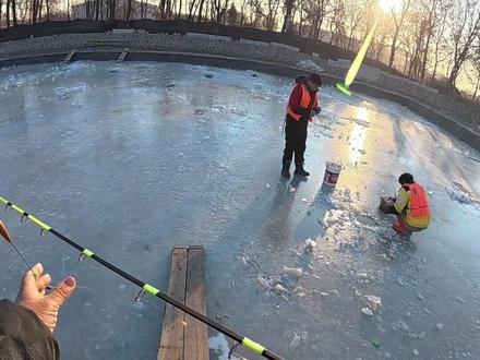 60小票冰钓大鲫鱼!#冰钓 #冰钓鲫鱼