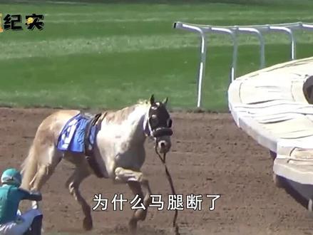 为什么马腿断了,就只能安静等死?真的无法痊愈吗?