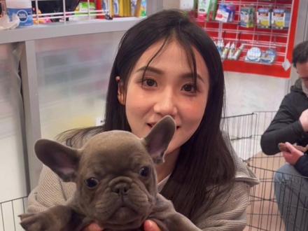 准备好负责任啦!@韩笑Mia 跟秃秃定好娃娃亲了#纽约 #留学生 #约克夏 #笨蛋小狗 #狗狗的心思都写在脸上了