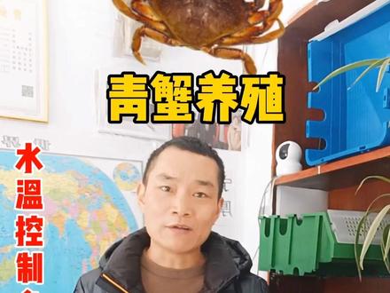 #青蟹养殖技术 青蟹养殖水温多少度合适?一般建议用恒温机将水温控制在22度左右的 恒定范围内,不要忽高忽低否则容易产生应激反应。#螃蟹 #立体养殖 #水产养殖 #大闸蟹养殖 #河蟹养殖 #螃蟹养殖 #青蟹立体养殖 #梭子蟹养殖 #螃蟹养殖技术