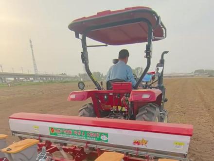 2026年种玉米想要高产不费劲,播种期间就要给营养#玉米 #玉米种植 #玉米地 #玉米底肥 #三农