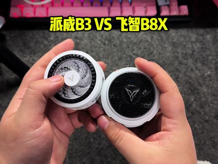 两者都很好👍 #散热器 #派威B3 #飞智B8X