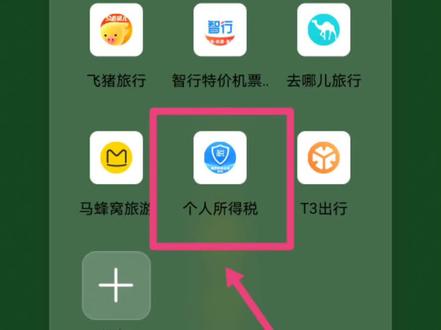 撸了个视频,六个步骤直接搞定位你的年度收入及纳税金额查询。#纳税 #年度收入查询