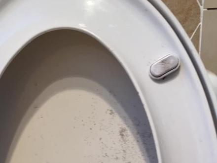 如何更换老式马桶盖
#马桶盖怎么拆 #更换马桶盖 #生活碎片