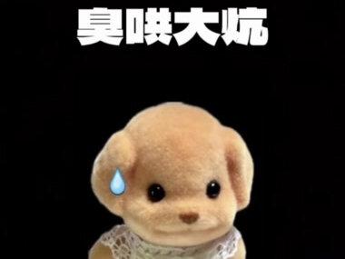 可别给东北人抹黑了#东北嫡长女#东北说唱#东北人#说唱#嫡长女