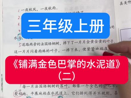 三年级上册第二单元是打开阅读理解的金钥匙#小学语文 #二升三 #三年级上册语文