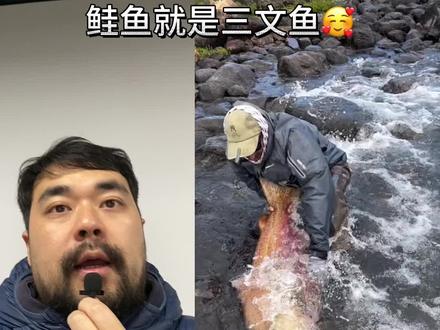 鲑鱼就是三文鱼 你知道吗🥰