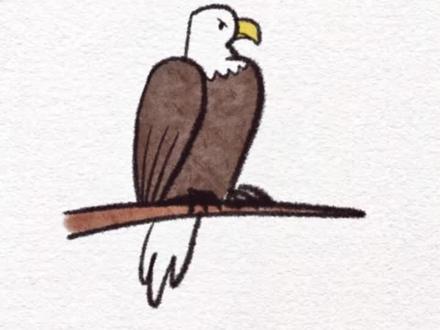 #画画 #简笔画 今天画老鹰!用这个方法我感觉就没有我不会画的鸟!#宅春节涨知识 #亲子 #老鹰