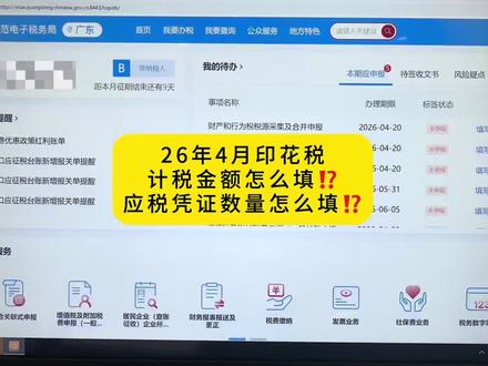 26年第一季度的印花税应该怎么去填写?手把手教会你。 #印花税怎么申报 #计税依据 #小规模 #会计实操学习 @DOU+上热门