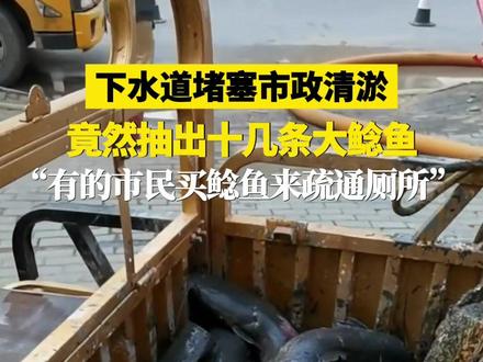 12月25日(采访),下水道堵塞市政清淤,竟然抽出十几条大鲶鱼。“有的市民用鲶鱼来疏通厕所”#下水道堵塞 #埃及鲶鱼