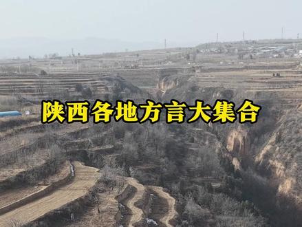 陕西各地方言大集合#陕西方言