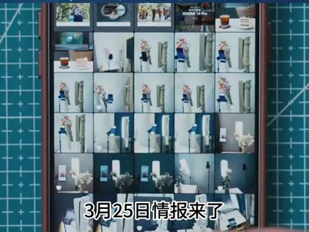 3月25日情报来了