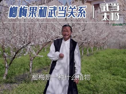 武当山独有的榔梅果,这个视频可能会吓你一跳#榔梅祠 #武当山 #武当道可道甄选 #武当道家养生院