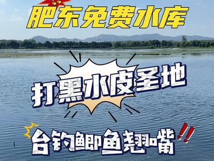 距离市区不远的一个肥东免费水库,水面很大,台钓路亚均可,里面鲫鱼很多,板鲫也不少,当地大爷推荐鱼种:黑鱼,鲫鱼!@DOU+小助手 #黑鱼#路亚#合肥野钓#野钓鲫鱼#原来钓鱼才是抖音运动顶流