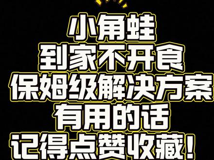 角蛙到家不吃东西怎么办?快来看看叭#角蛙 #爬宠
