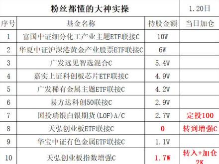 刺激不,还好最后拉红了#基金 #狗总
