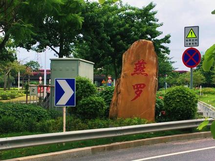 骑行深圳第58站:宝安区燕罗街道,打卡燕罗湿地,洋涌河水闸,菜博士农田,罗田森林公园。
燕罗最美的地方,在燕罗湿地。
我沿着湿地入口,环绕湿地骑了一圈,从洋涌河水闸上骑过去的。
湿地在茅洲河边,沿着茅洲河的拐弯处,做了个湿地公园。
这样的地形,如果换成黄河,就叫河套,前面写过。
茅洲河也是深圳的第一大内陆河,属于珠江水系,从龙华的阳台山一直往西经过石岩、光明、松岗、沙井,最后进入珠江口的伶仃洋,全长40多公里。
只是这条河在不同的区,给划成了不同的河段,命了不同的名字。
在燕罗和东莞交界的这一段,叫东宝河。从燕罗湿地往东,叫法又变成了洋涌河。
#骑行随拍 #绿道 #城市风光 #燕罗湿地 #洋涌河水闸
