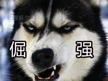 当你获取验证码的时候,输错了手机号 #内容过于真实 #验证码