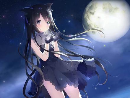 【PC】galgame保姆级入门教学(附工具)
#工具#教学#galgame#入门