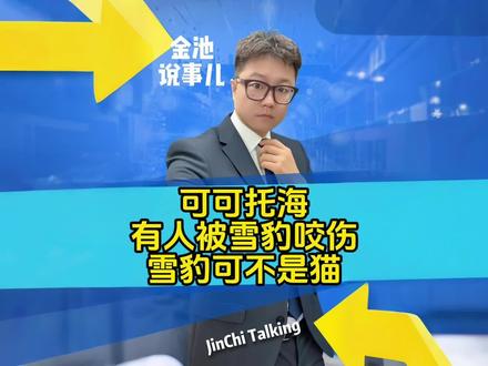 可可托海有人被雪豹咬伤,雪豹可不是猫啊!#金池说事儿 #热点新闻事件